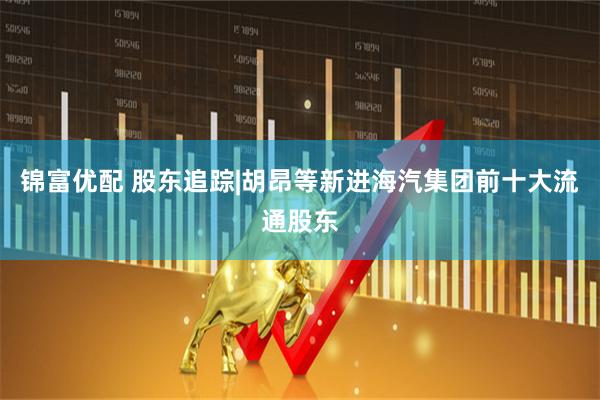 锦富优配 股东追踪|胡昂等新进海汽集团前十大流通股东